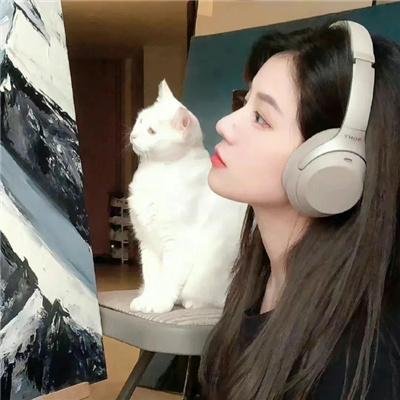 无尽攀登